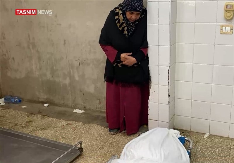 «مادر جان داد»؛ روایت شهادت مادر فلسطینی برای یک لقمه نان